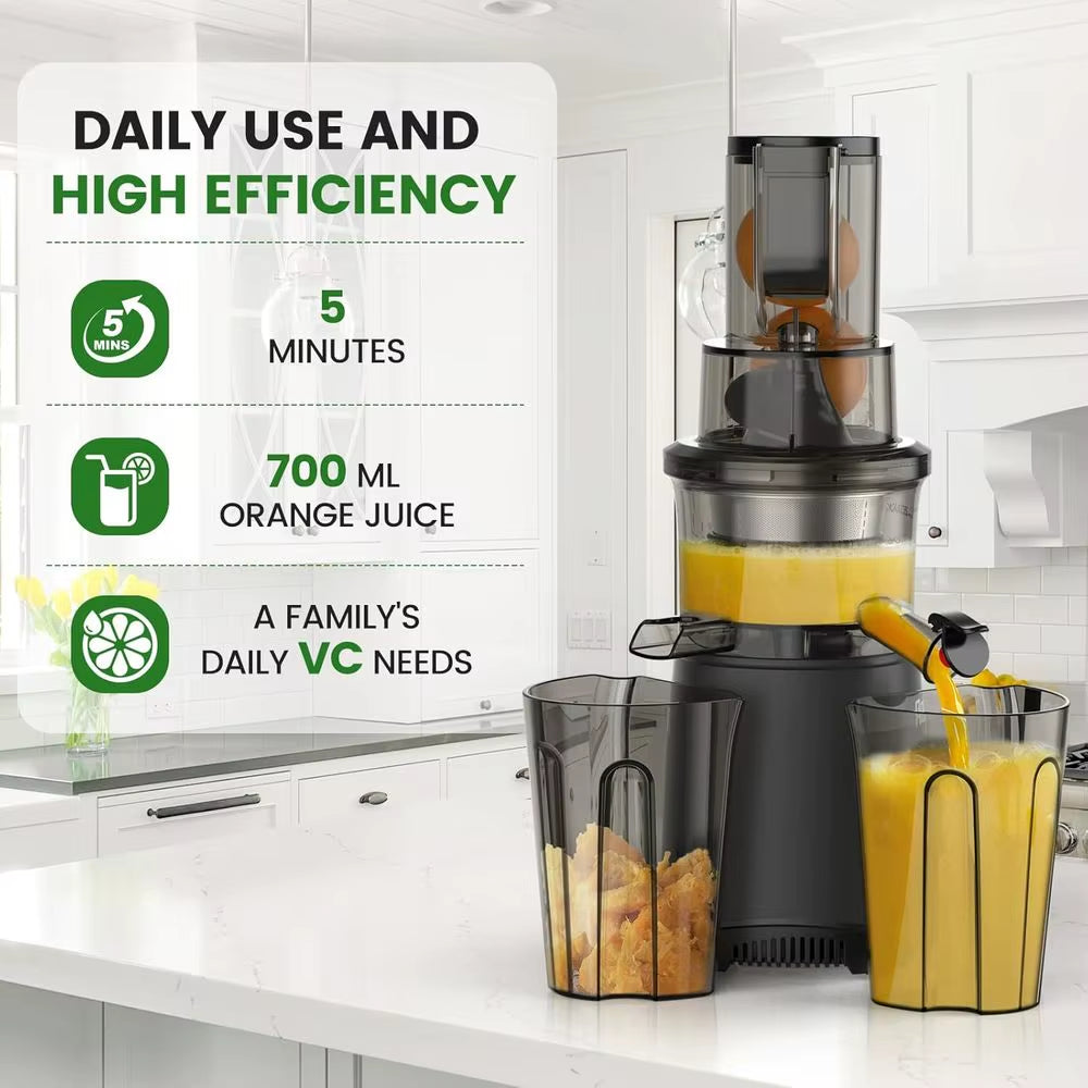 Slow Masticating Cold Press Juicer: 200W Juicer for Vegetables and Fruit