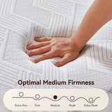 12 Inch Queen Mattress Medium Firm, Cooling Gel Memory Foam Queen Size Mattress in a Box for Pressure Relief, Certip，Customized