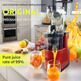 Cold Press Juicer Machine with Slow Masticating Technology High Yield Pulp Separation Multi-Functional for Home and Commercial