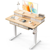 40" x 24" Electric Height Adjustable Standing Desk with 4 Storage Drawers, Customized Sit-Stand Computer Desk