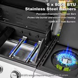 60000 BTU Stainless Steel 6 Burner Propane BBQ Grill with Side Stove Cast Iron Grates for Patio Camping Outdoor Cooking in Blac
