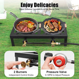 Portable Double Burner Outdoor Gas Stove Propane Cooker with Adjustable 0-10Psi Regulator Hose for Patio Camping, BBQ