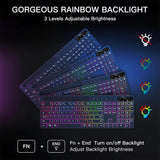 Wireless Keyboard and Mouse Combo with Backlit Full Size Ergonomic Keyboard with Phone Tablet Holder 2.4G Mouse for PC Laptop