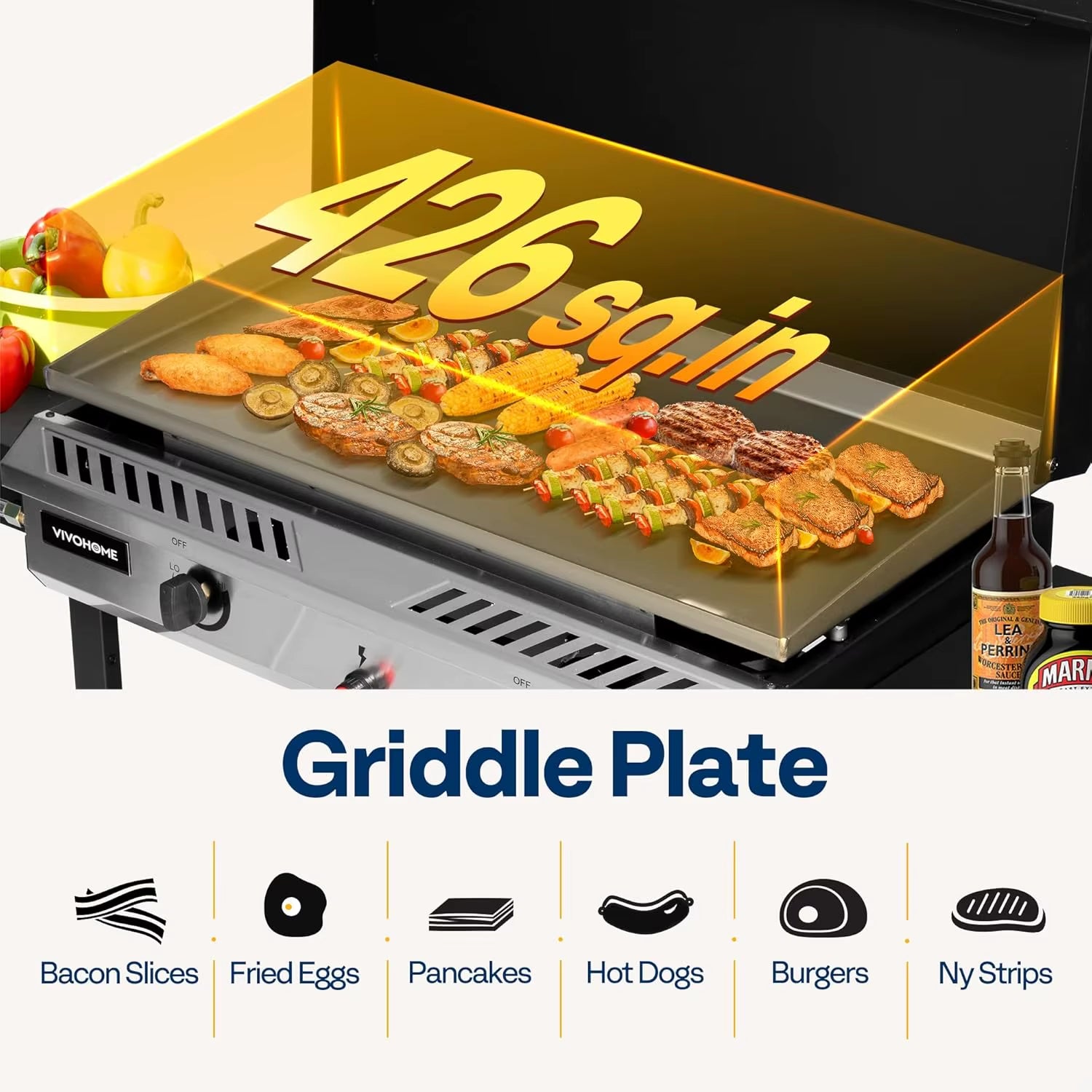 2-Burner Outdoor Griddle Station with Detachable Griddle Plate, Portable Propane Gas Stove with 2 Wheels,, Customized