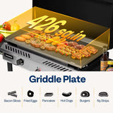2-Burner Outdoor Griddle Station with Detachable Griddle Plate, Portable Propane Gas Stove with 2 Wheels,, Customized