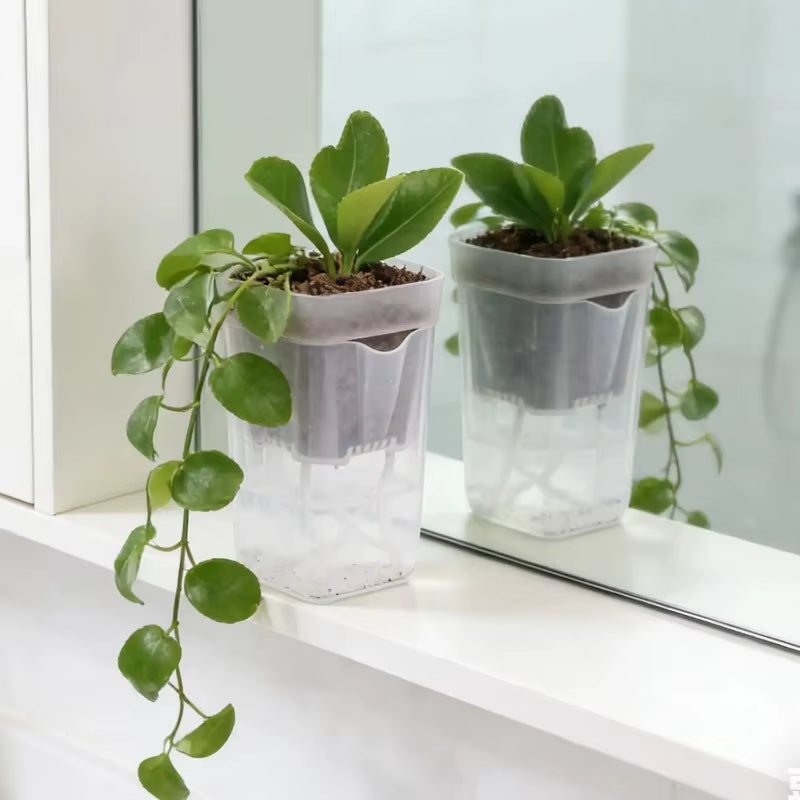 Transparent Flower Plant Pot Self Watering Planter Drainage Holes Seedling Propagation Container Household Garden Accessories