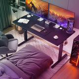 MCQ Electric 63"x24" Ergonomic Height Adjustable Standing Desk for Home Office and Gaming Workstation