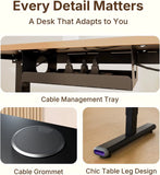 Electric Height Adjustable Ergonomic Desk - 55" x 24" Sit-Stand Computer Table for Office Use