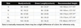 Stand Collar Half Zip Sleeveless Loose Mini Dress Lace Trim Pocket Ruffle Hem Dress For Women Street Punk Daily Trendy Outfit
