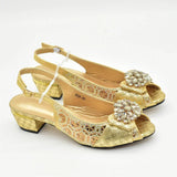 New Arrival African Shoes and Bags Sets Decorated with Rhinestone Women Shoe Size 43 Shoes for Women 2025 Designer Luxury