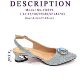 Venus Chan Royal Blue Sandals for Women 2024 Luxury Wedding Pumps Med Heels Rhinestone Design Party Shoes and Bags Set