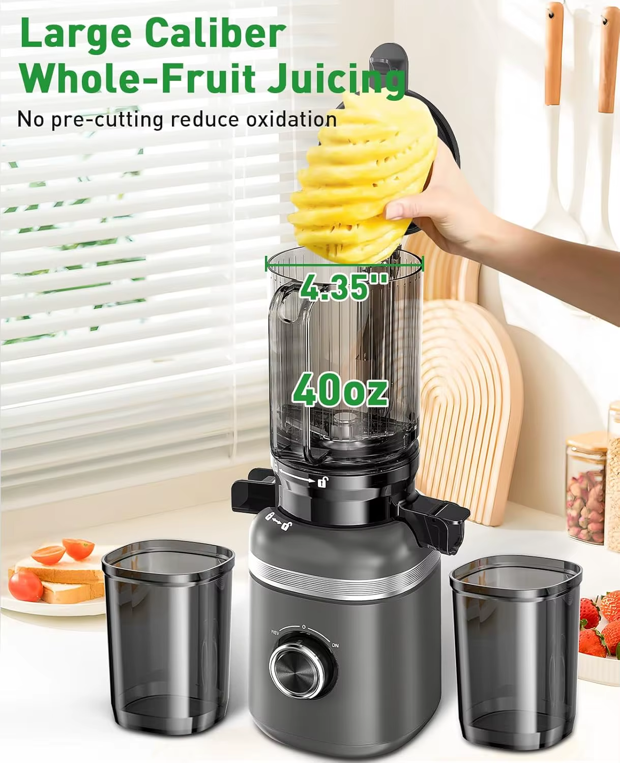 Slow Masticating Juicer for Whole Fruits and Vegetables, High Yield, Easy Clean, Gray