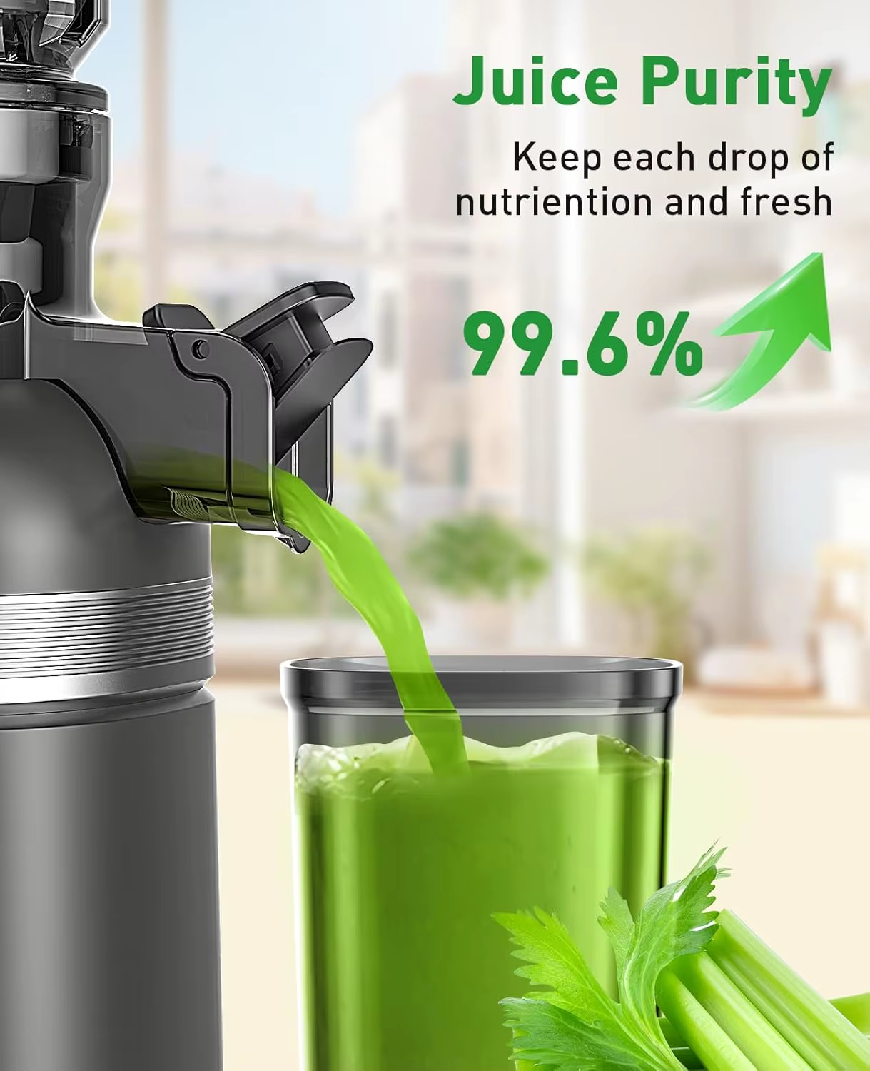 Slow Masticating Juicer for Whole Fruits and Vegetables, High Yield, Easy Clean, Gray