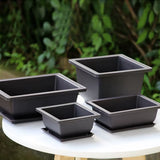 Rectangular Bonsai Training Pots Plastic Flowerpot with Drainage Tray Succulent Plants Pot Bonsai Plants Growing Pots Home Decor