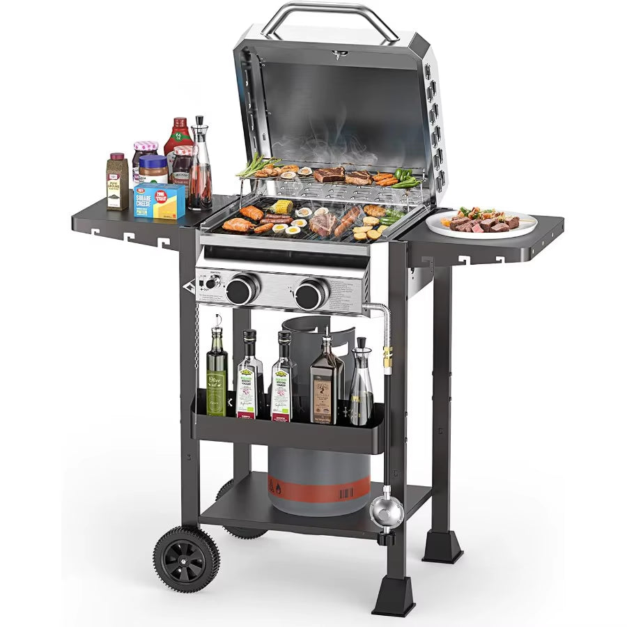 2 Burner BBQ Propane Gas Grill Stainless Steel 16 000 BTU Patio Garden Barbecue Grill with Two Foldable Shelves Gas Grill With