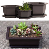 Rectangular Bonsai Training Pots Plastic Flowerpot with Drainage Tray Succulent Plants Pot Bonsai Plants Growing Pots Home Decor