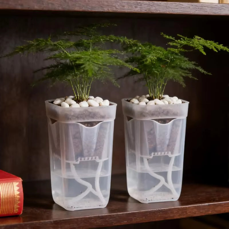 Transparent Flower Plant Pot Self Watering Planter Drainage Holes Seedling Propagation Container Household Garden Accessories