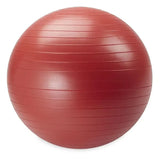 Weighted Stability Ball Kit- 55-75Cm with Pump Guide. for Strength, Flexibility & Core Training. Durable, Portable & Easy Clean