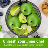 6.5" Large Feed Chute Electric Slow Masticating Juicer, 350W for Whole Fruits and Vegetables, Easy Clean Assembly