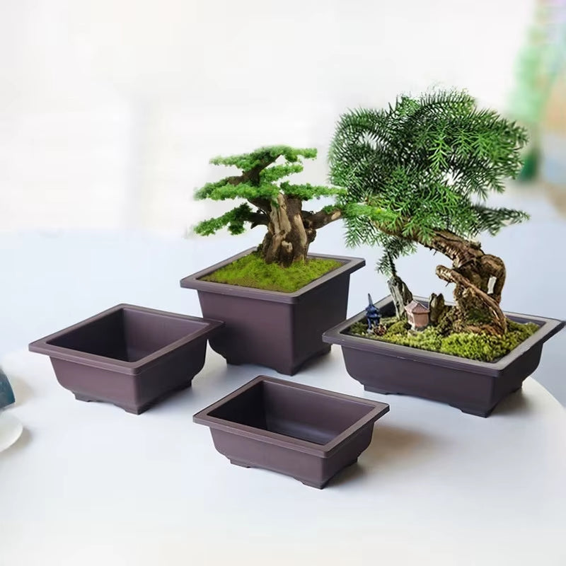 Rectangular Bonsai Training Pots Plastic Flowerpot with Drainage Tray Succulent Plants Pot Bonsai Plants Growing Pots Home Decor