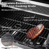 60000 BTU Stainless Steel 6 Burner Propane BBQ Grill with Side Stove Cast Iron Grates for Patio Camping Outdoor Cooking in Blac