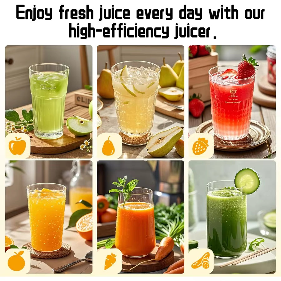 Hobsir Juicer Machines 3.1-Inch Cold Press Juicer Masticating Slow Juicer Machines for Vegetables and Fruits Easy to Clean High