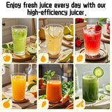 Hobsir Juicer Machines 3.1-Inch Cold Press Juicer Masticating Slow Juicer Machines for Vegetables and Fruits Easy to Clean High