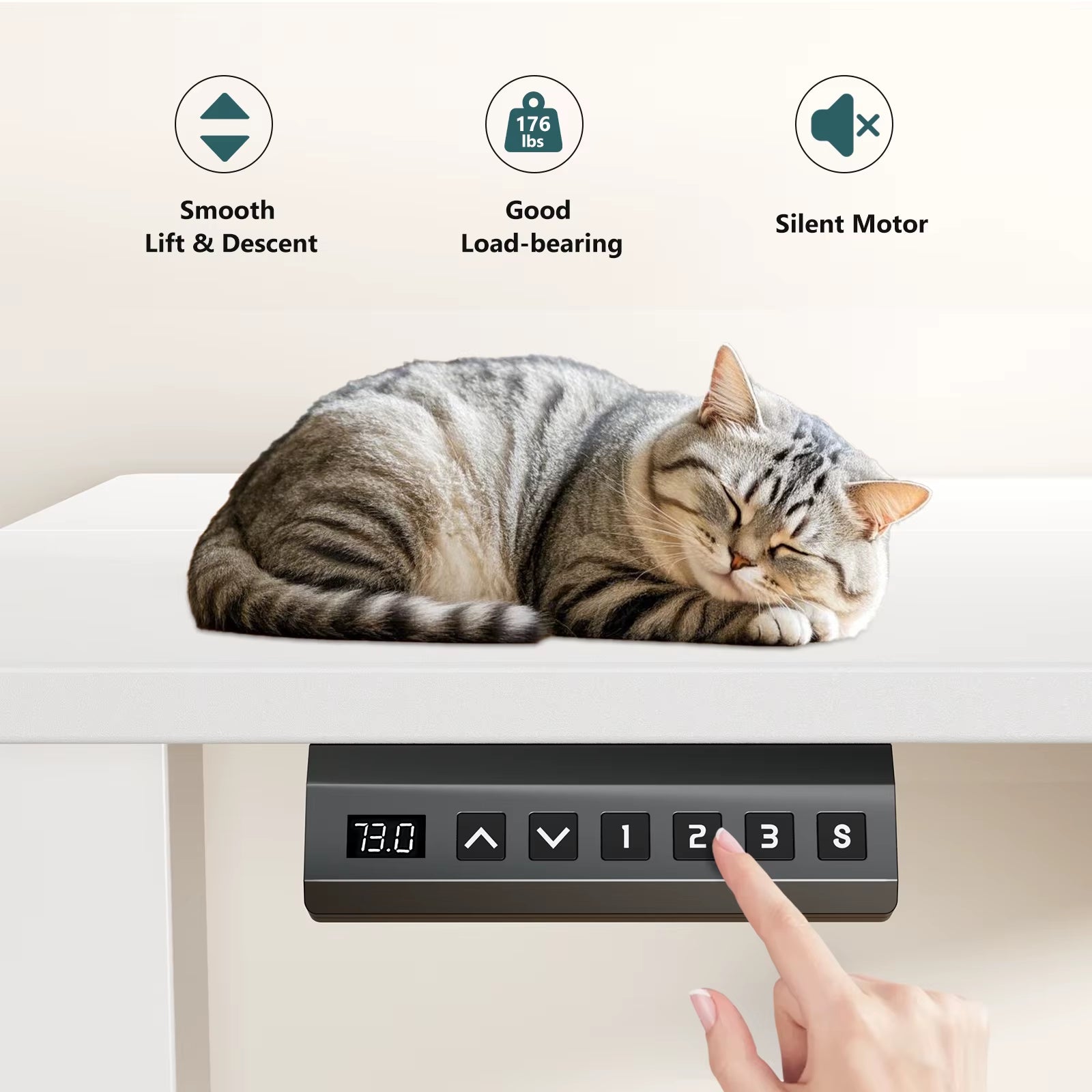 MCQ Electric 63"x24" Ergonomic Height Adjustable Standing Desk for Home Office and Gaming Workstation