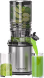 6.5" Large Feed Chute Electric Slow Masticating Juicer, 350W for Whole Fruits and Vegetables, Easy Clean Assembly