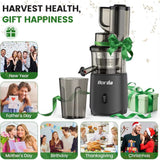 Slow Masticating Cold Press Juicer: 200W Juicer for Vegetables and Fruit