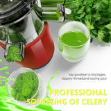 Cold Press Juicer Machine with Slow Masticating Technology High Yield Pulp Separation Multi-Functional for Home and Commercial