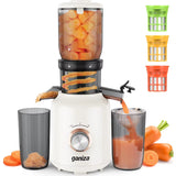 Juicer Machines Cold Press Juicer with Large Feed Chute for Whole Fruits and Vegetables Slow Masticating Juicers with 3 Replace