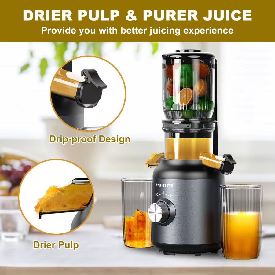 Cold Press Juicer with 4.2Inch Large Feed Chute for Whole Fruits and Vegetables Slow Juicing Extraction Machine with 250W Masti